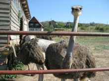 Обязательно посетите с детьми! 