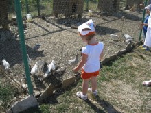 Обязательно посетите с детьми! 