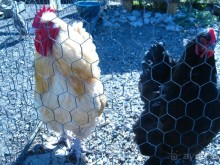 Обязательно посетите с детьми! 