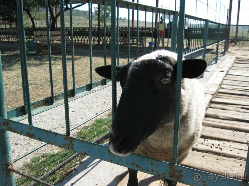 Обязательно посетите с детьми! 