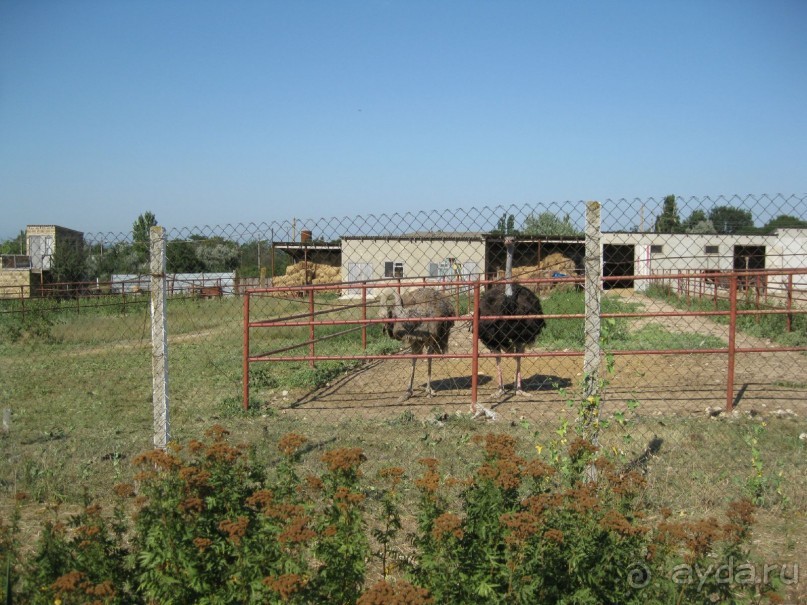 Обязательно посетите с детьми! 