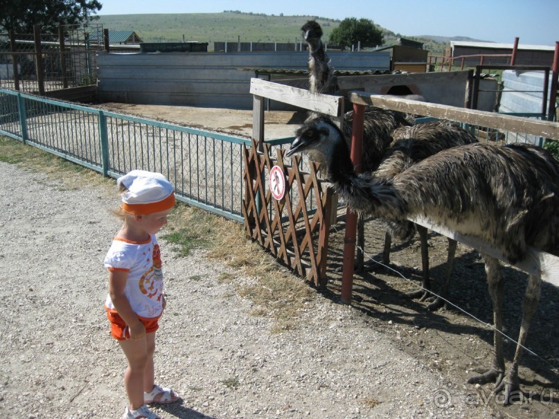 Обязательно посетите с детьми! 