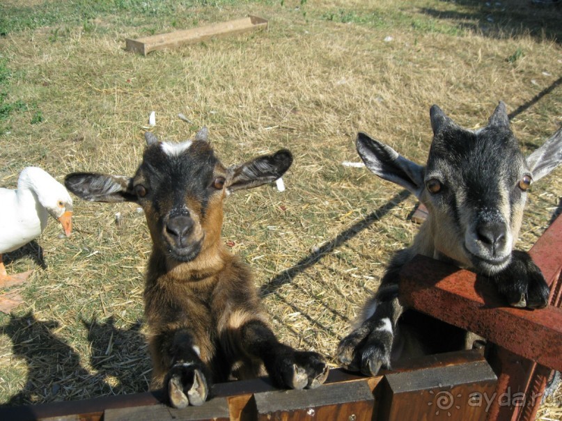 Обязательно посетите с детьми! 