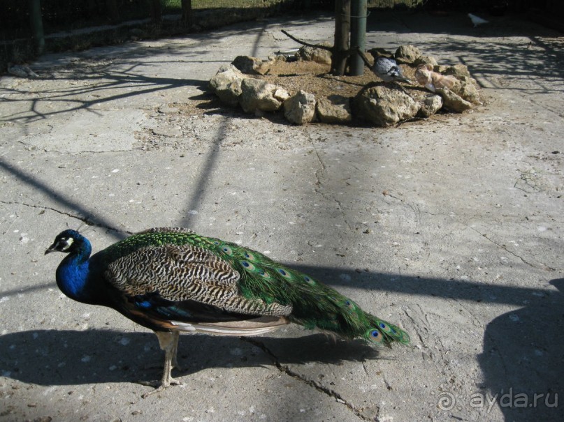 Обязательно посетите с детьми! 