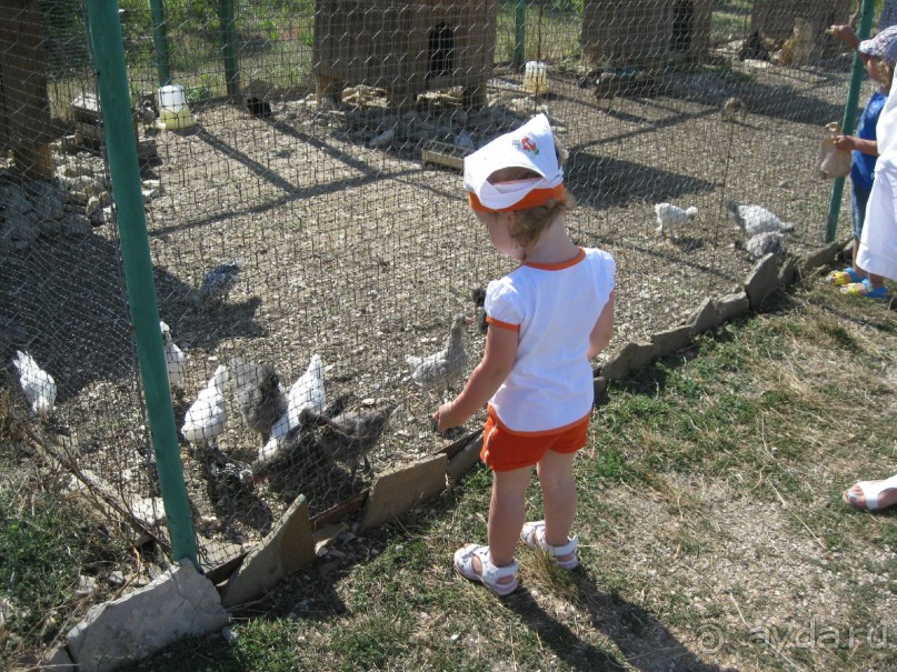 Обязательно посетите с детьми! 