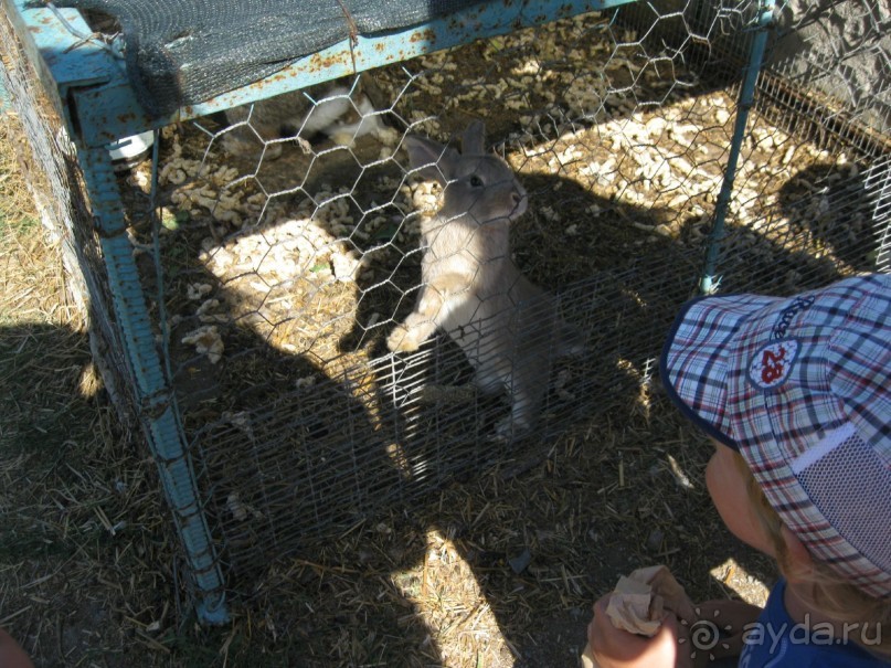 Обязательно посетите с детьми! 