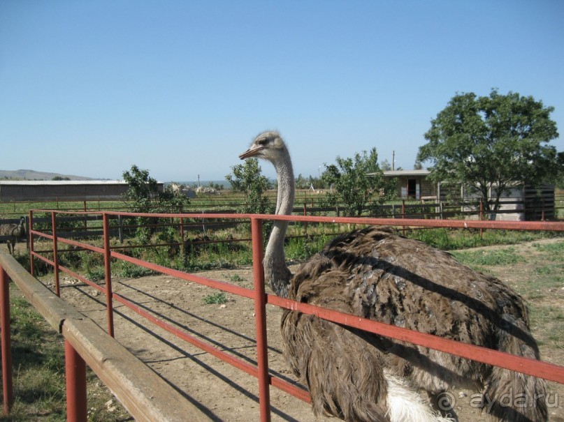 Обязательно посетите с детьми! 