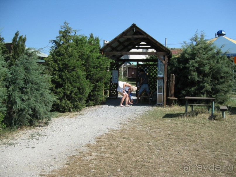 Обязательно посетите с детьми! 