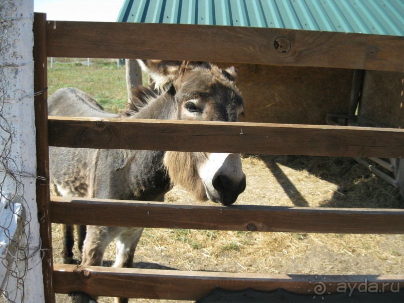 Обязательно посетите с детьми! 