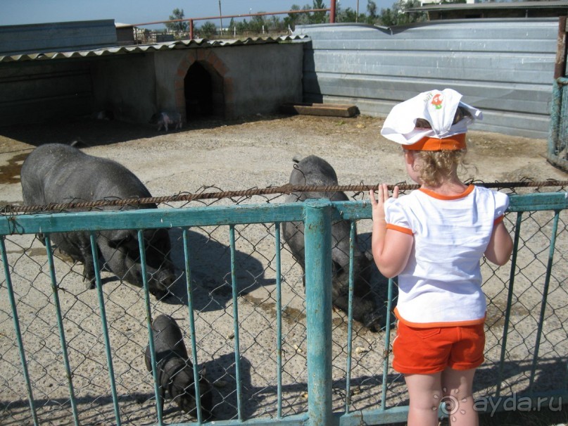 Обязательно посетите с детьми! 