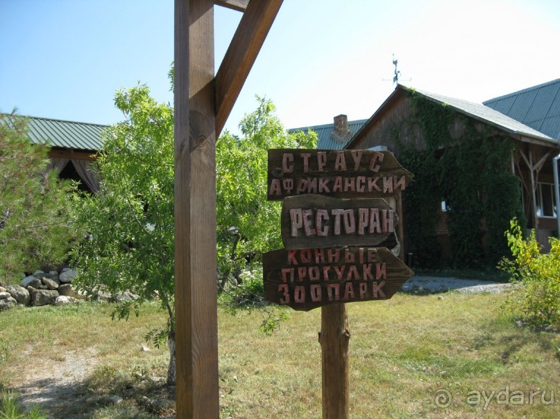 Обязательно посетите с детьми! 