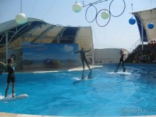 Великолепное представление!