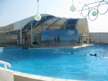 Великолепное представление!