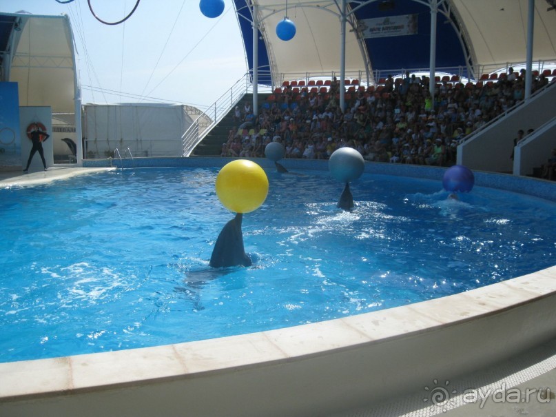 Великолепное представление!