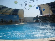 Великолепное представление!