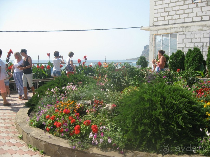 Великолепное представление!