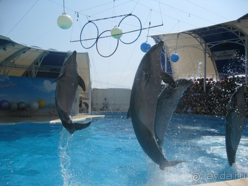 Великолепное представление!