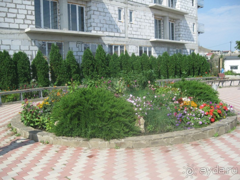 Великолепное представление!