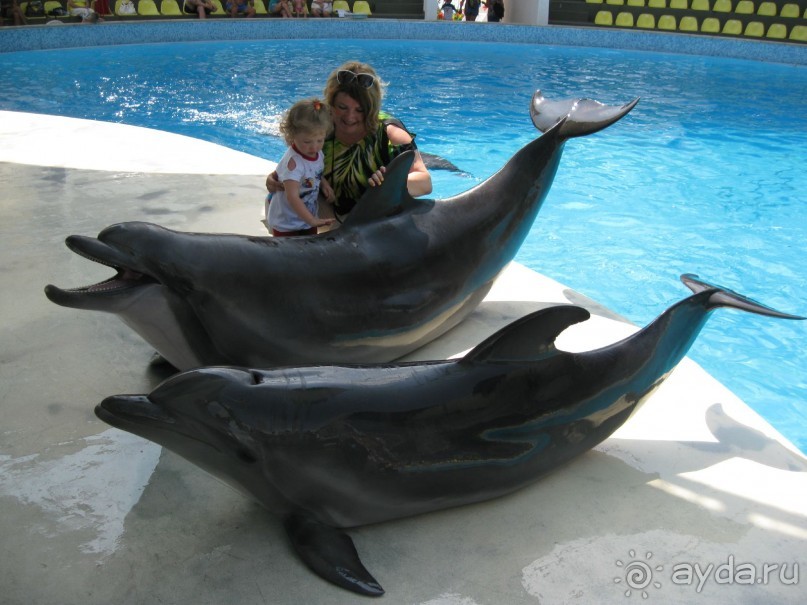 Великолепное представление!