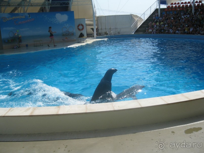 Великолепное представление!