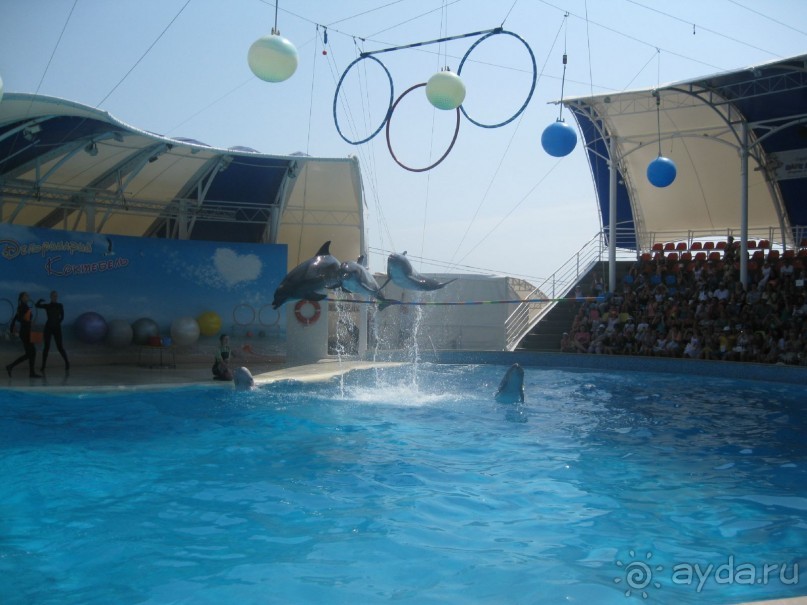 Великолепное представление!
