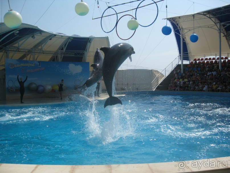 Великолепное представление!