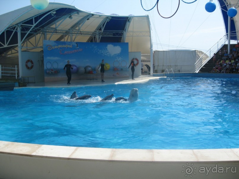 Великолепное представление!