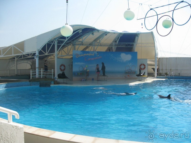 Великолепное представление!