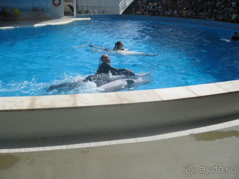 Великолепное представление!