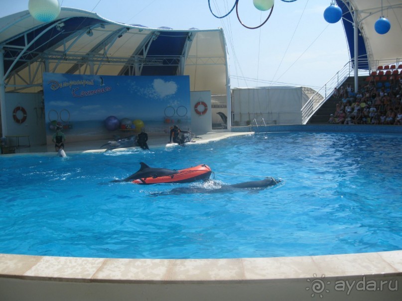 Великолепное представление!