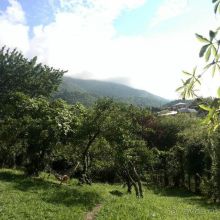 Альбом отзыва "Нам понравилось!"