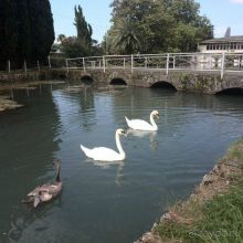 Нам понравилось!