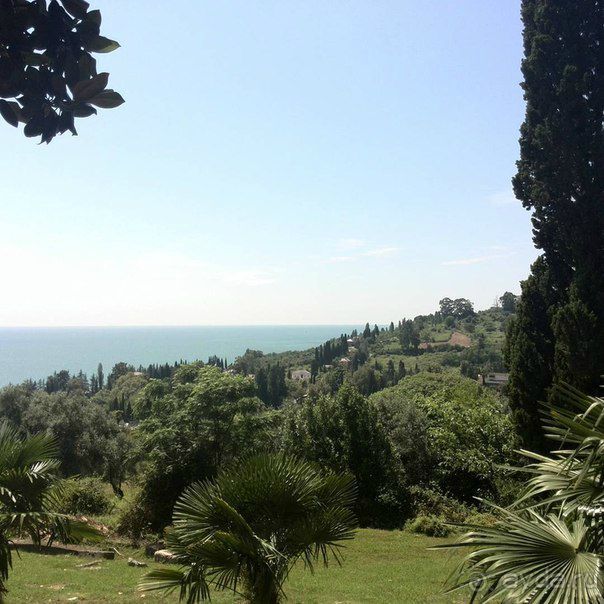 Нам понравилось!