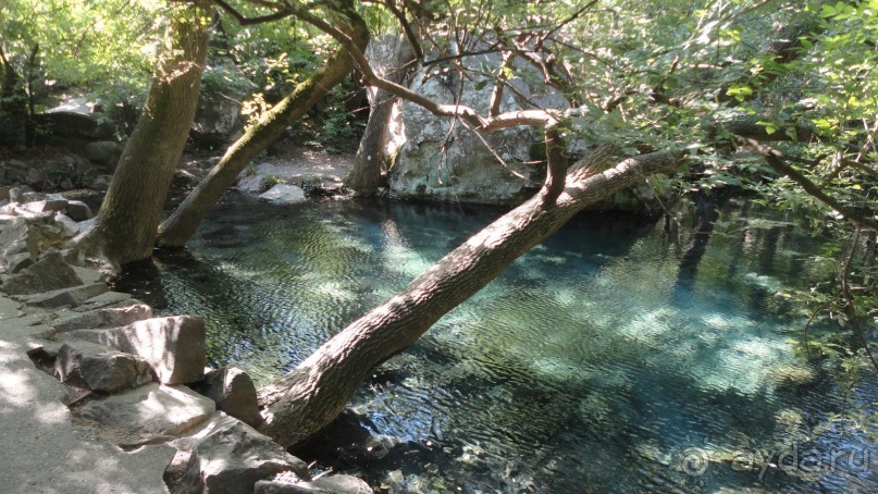 Озерцо в Воронцовском парке