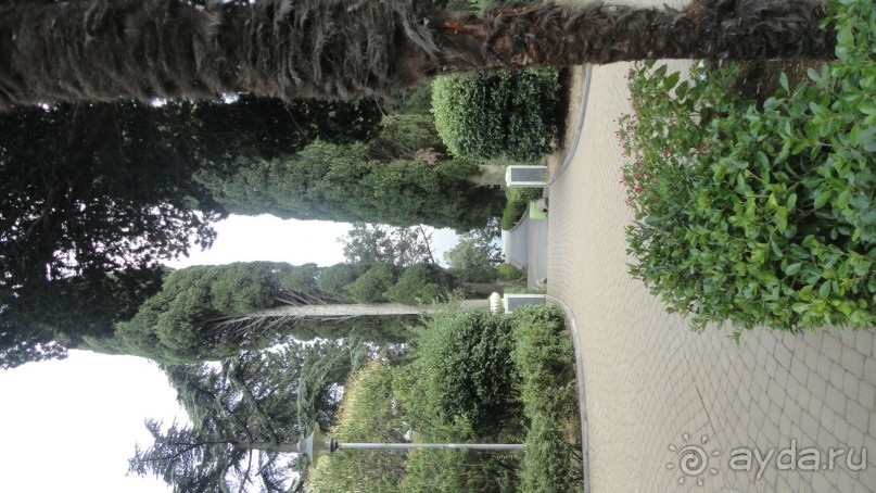 Аллеи Симеиза