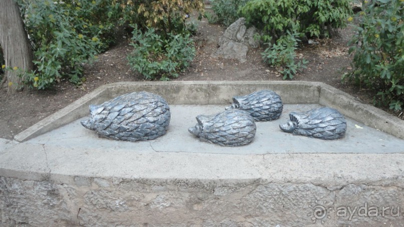 Ежи у одноименного кафе