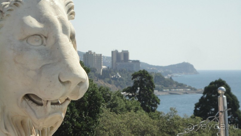 Лев у Воронцовского дворца