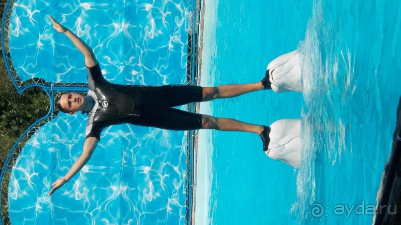 В дельфинарии Акватория (Ялта).