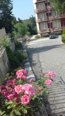 Элит для болгар