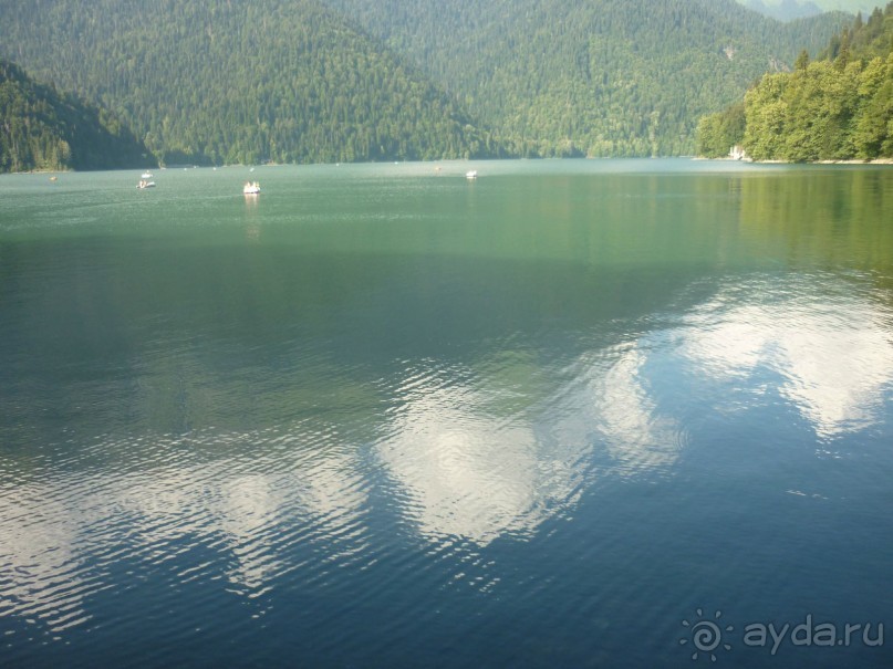 Как Бус и Карамелька впервые море увидели. Абхазия, Пицунда, Рыбзавод 2015....