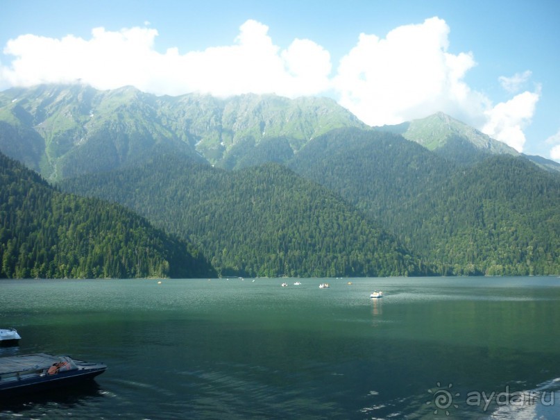 Как Бус и Карамелька впервые море увидели. Абхазия, Пицунда, Рыбзавод 2015....