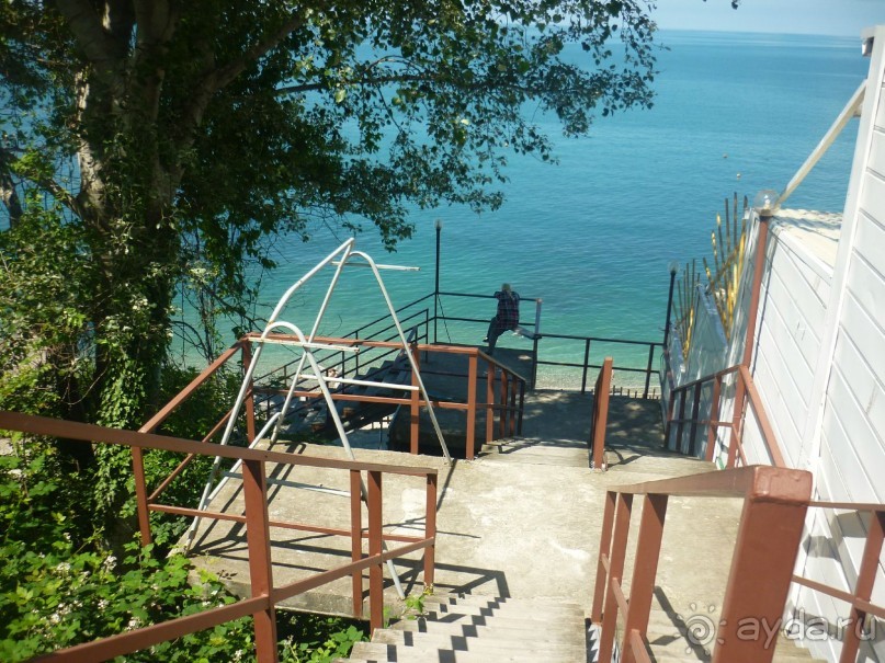 А море ласково шептало и нежно пятки целовало или второй выезд Буса и Карамельки на Черное море