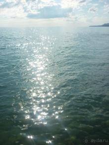 А море ласково шептало и нежно пятки целовало или второй выезд Буса и Карамельки на Черное море