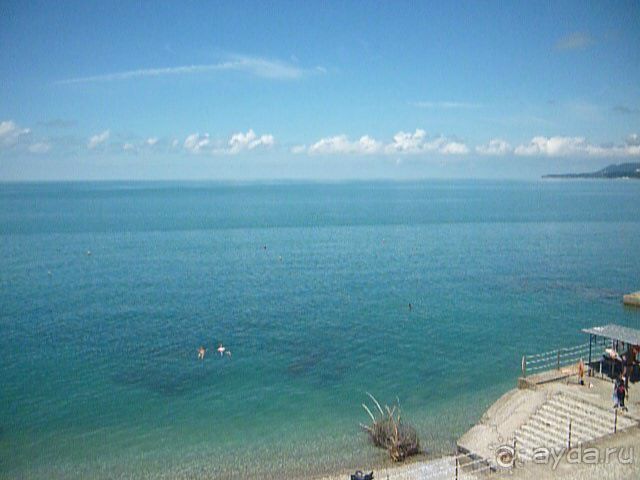 А море ласково шептало и нежно пятки целовало или второй выезд Буса и Карамельки на Черное море