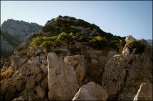 излюбленное место отдыха