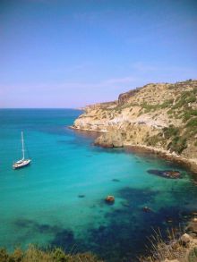 дикая природа