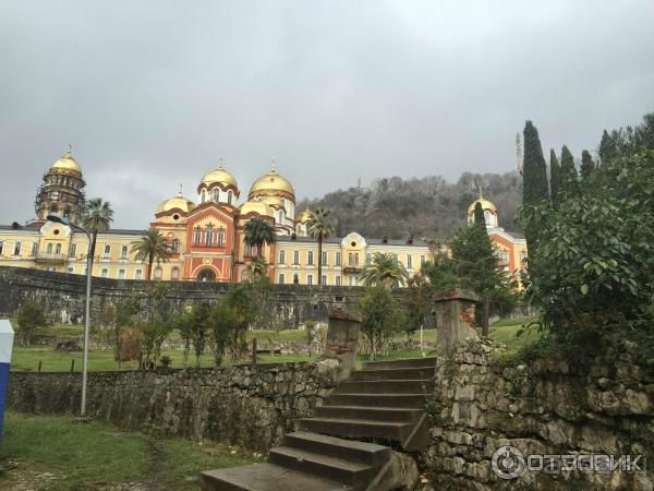 красивая природа