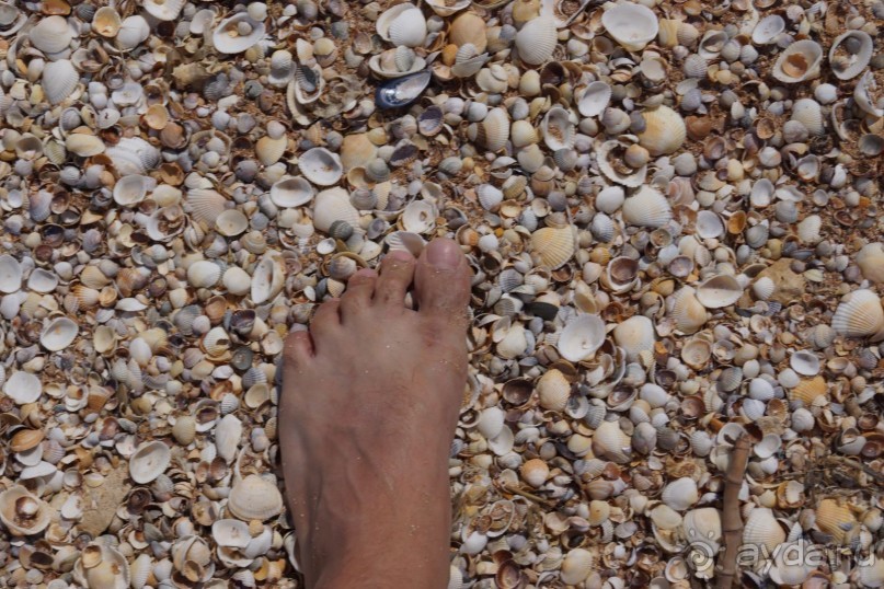 Отдыхать с детьми можно