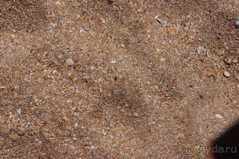 Отдыхать с детьми можно