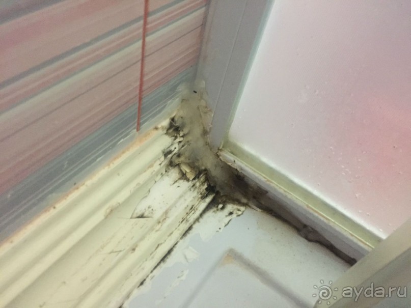 Отель в котором считают, что народ и так всё проглотит.